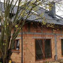 Rukola-G2N-20181105_094418